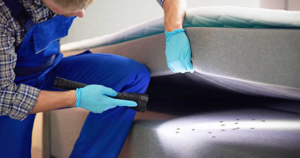 Trusted Taylor Lake Village, TX Pest Control Experts
